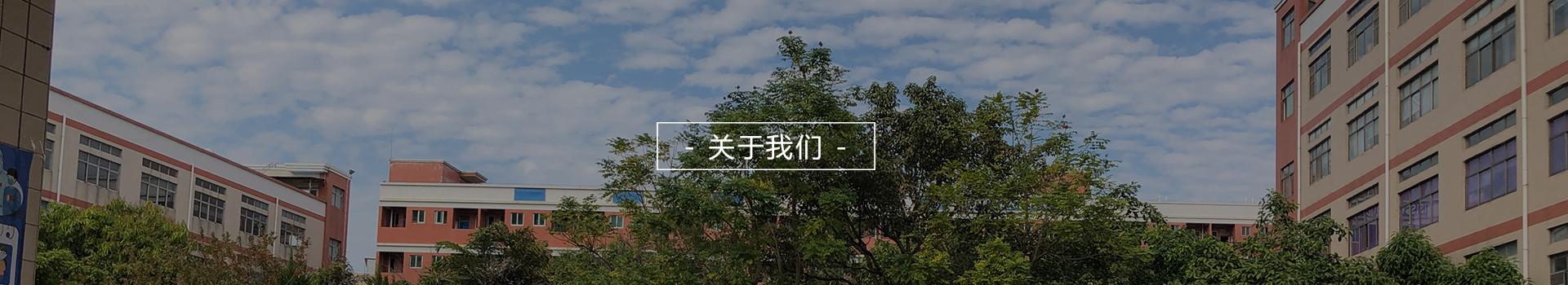 深圳市精美油畫藝術有限公司